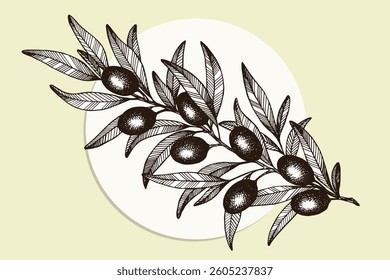  A hand-drawn olive branch illustration, designed in an elegant and minimalistic outline style, capturing the essence of nature, greenery, and Mediterranean symbolism. Ideal for eco-friendly design