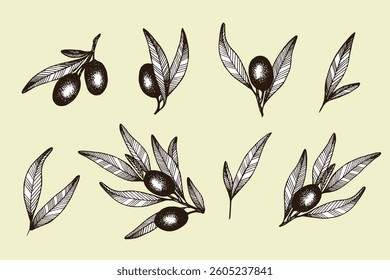  A hand-drawn olive branch illustration, designed in an elegant and minimalistic outline style, capturing the essence of nature, greenery, and Mediterranean symbolism. Ideal for eco-friendly design