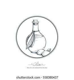 Hand-drawn olive oil and olive branch. Vector sketch illustration. 