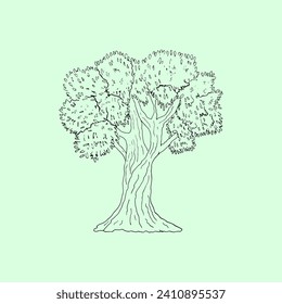Hand-drawn olive tree vector illustration, isolated on a green background. Line art. 