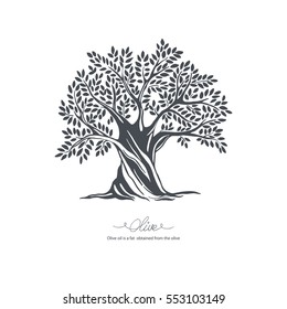 Hand-drawn olive tree. Vector sketch illustration