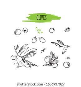 Hand-drawn olives set. Branches, leaves and fruit vector illustration.
