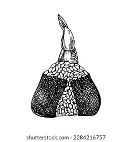Hand-drawn onigiri with shrimp sketch. Japanese rice ball drawing in engraved style. Japanese food illustration isolated on white background. Rice ball wrapped with dried nori. Edible seaweed recipe