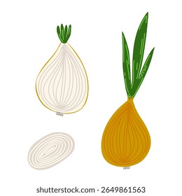 Conjunto de ilustração de cebola desenhada à mão. Cebola inteira, cebola cortada em fatias e bolbo germinante. Clipart para projetos de cozinha, comida ou temáticos de fazenda