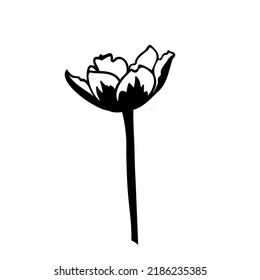 A hand-drawn open tulip icon in black and white