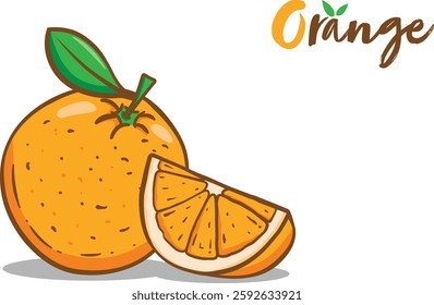 Hand-Drawn Orange Fruit Vector Illustration. Fresh Citrus with Sliced Orange, Juicy Tropical Fruit, Organic Food Clipart, Cartoon Style, Healthy Vitamin C, Fresh Juice Design Element