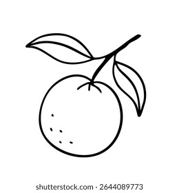 Hand-drawn orange with leaves in minimalistic doodle style. Black ink vector line art, perfect for summer packaging, branding, logo design, and organic food illustration.