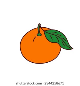 Hand-drawn orange or mandarin on a transparent background. Isolated vector illustration of juicy fruit