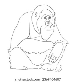 Hand-drawn Orangutan. Vector editable stroke.