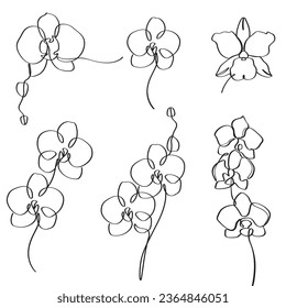 Hand-drawn orchid black and white elegant continues line art drawing illustration. 