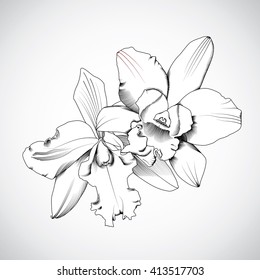 hand-drawn orchids flowers. Vector illustration