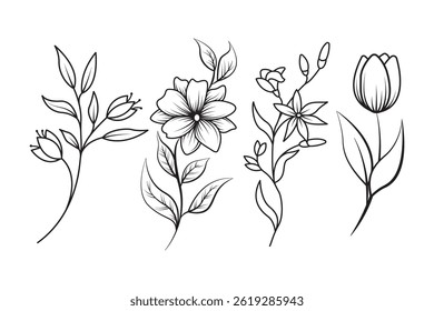 A hand-drawn outline of elegant floral compositions, showcasing different flower types and their natural beauty, ideal for decorative and artistic purposes.
