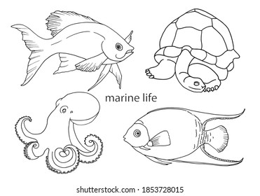 Hand-drawn outline of fish, turtles and octopus, drawing in the style of doodles. A set of vector illustrations of marine life for coloring, tattoos or logos.