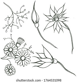 Hand-drawn outline flowers. Vector illustrations