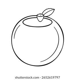 Desenho à mão esboça uma fruta com uma folha um pequeno caule em uma maçã