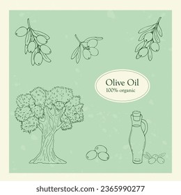 Hand-drawn outline olive illustration, isolated on a green background. Olive oil, olive tree, and olive branch vector illustration. 