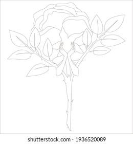 A hand-drawn outline of a rose flower with hands in vector format for coloring activity 