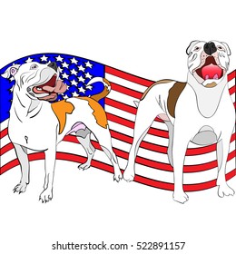 hand-drawn, outlined, vector illustration of a couple of american bulldogs in front of a waving american flag