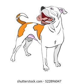 hand-drawn, outlined vector illustration of a playful american bulldog