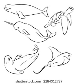 Hand-Drawn Outlines of a Arctic wild life animals  in Various Poses, Rendered in Doodle-Style Drawing with Freehand Sketching