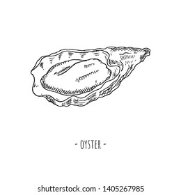 Hand-drawn oyster. Isolated object on a white background. Vector cartoon illustration.