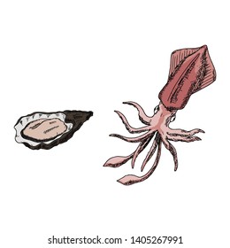 Hand-drawn oyster and squid. Vector cartoon illustrations. Isolated objects on a white background. Seafood.