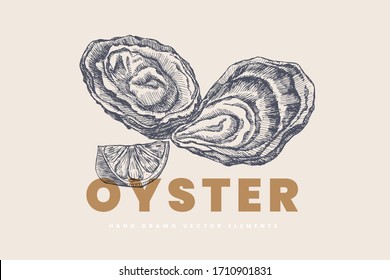 Hand-drawn oysters and lemon slice vector illustration. Seashells in engraving style on a light background. Seafood. The menu design element of a fish restaurant, market or store.