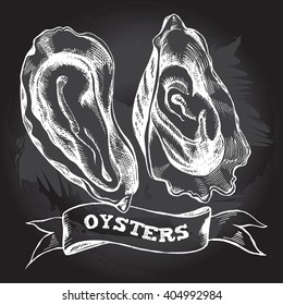 Hand-drawn oysters. Vector Illustration on the blackboard. 