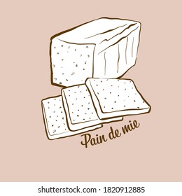 Handgezeichnete Pain de mie Brot Illustration. Weiß, gewöhnlich in Italien bekannt. Vektorgrafik-Zeichnungsreihe.