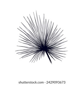 handgezeichnete Palmblattvektor-Illustration