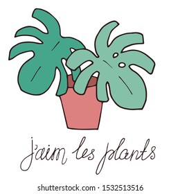 Hand-drawn palm in pot. Hand lettering in french - J'aime les plants (I live plants)