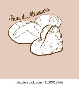 Hand-drawn Pane di Altamura bread illustration. Leavened, usually known in Italy. Vector drawing series.