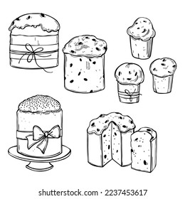  Hand-drawn panettone. Christmas traditional Italian dessert. Vector sketch  illustration.