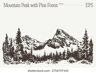 A hand-drawn panoramic sketch of a dramatic alpine mountain peak with snow-covered slopes and hatching shadows, flanked by a dense pine forest treeline, rendered in minimal vintage engraving style on a light background.