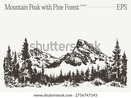 A hand-drawn panoramic sketch of a dramatic alpine mountain peak with snow-covered slopes and hatching shadows, flanked by a dense pine forest treeline, rendered in minimal vintage engraving style on a light background.