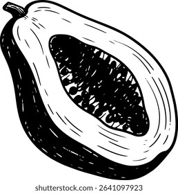 Hand-drawn papaya fruit in cross section