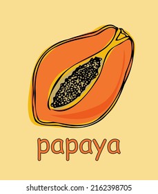 hand-drawn papaya. vector illustration on yellow background