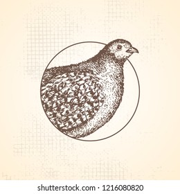 Hand-drawn Partridge Sign In A Round Frame. Engraving Style. The Idea Of The Stamp. Isolated On Background. Vector.