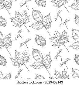 Hand-drawn pattern in black line graphics with various types of leaves on a white background. Vector illustration for textile print, wrapping paper, wallpapers, coloring.