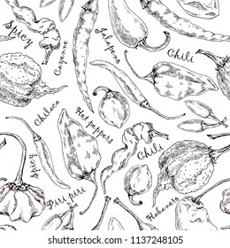 Hand-drawn pattern with different peppers on white background. Sketch style.