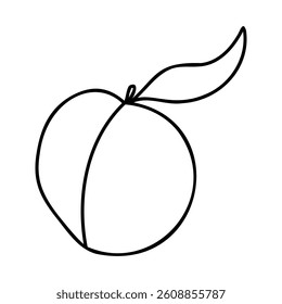 Hand-drawn peach illustration in black and white. Minimalist fruit-themed doodle, perfect for healthy food designs, summer concepts, and botanical decor