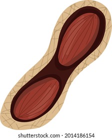 Hand-drawn peanut vector illustration. Farm organic groundnut for juice or salad. Eco-friendly nut for diet. 