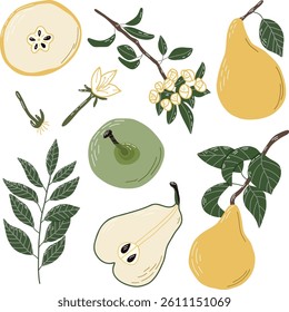 Hand-Drawn Pear and Plant Illustrations With a Fresh Organic Style. Artistic depiction of pears, leaves, branches, and flowers in an elegant hand-drawn style, emphasizing natural beauty with a vibrant