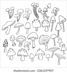 Hand-drawn, pen and ink mushroom clipart.
