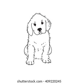 Handdrawn pen retriever dog puppy illustration