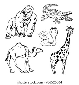 Hand-drawn pencil graphics, african animals set. Black and white logo, sign, emblem, symbol. Stamp, seal. Simple illustration. Sketch.
