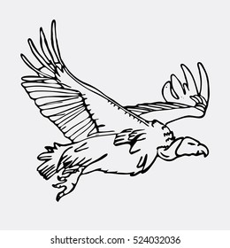 Hand-drawn pencil graphics, african vulture, hawk. Engraving, stencil style. Black and white logo, sign, emblem, symbol. Stamp, seal. Simple illustration. Sketch.