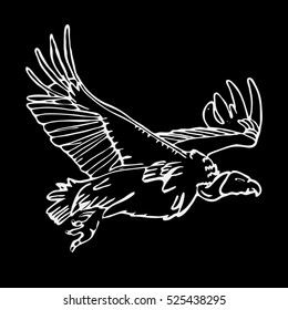 Hand-drawn pencil graphics, african vulture, hawk. Engraving, stencil style. Black and white logo, sign, emblem, symbol. Stamp, seal. Simple illustration. Sketch.