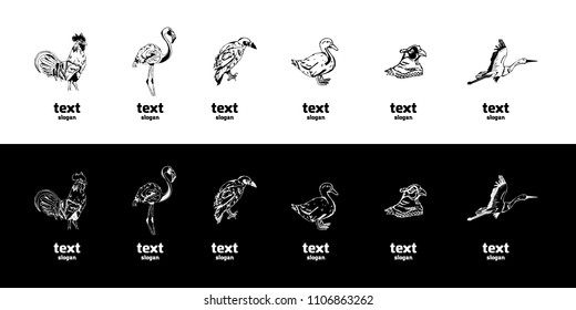 Hand-drawn pencil graphics, birds set. Engraving, stencil style. Black and white logo, sign, emblem, symbol. Stamp, seal. Simple illustration. Sketch.