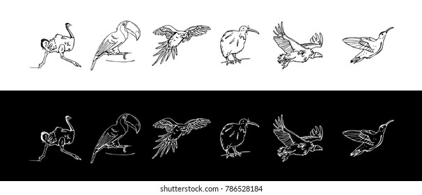 Hand-drawn pencil graphics, birds set. Engraving, stencil style. Black and white logo, sign, emblem, symbol. Stamp, seal. Simple illustration. Sketch.